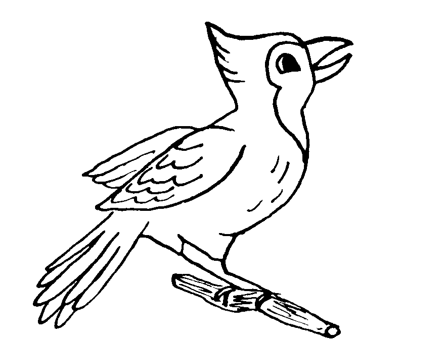 Coloriage 25 Oiseaux