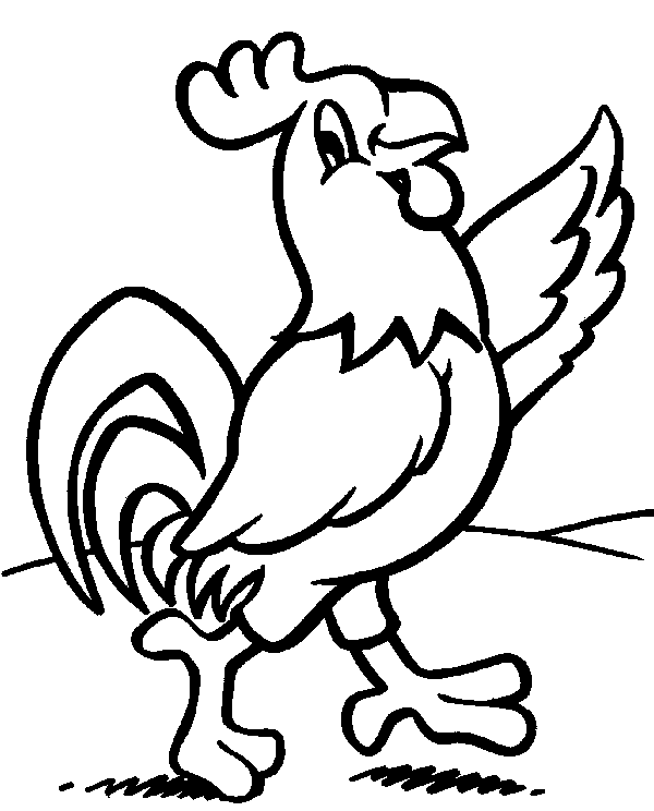 Coloriage 26 Oiseaux