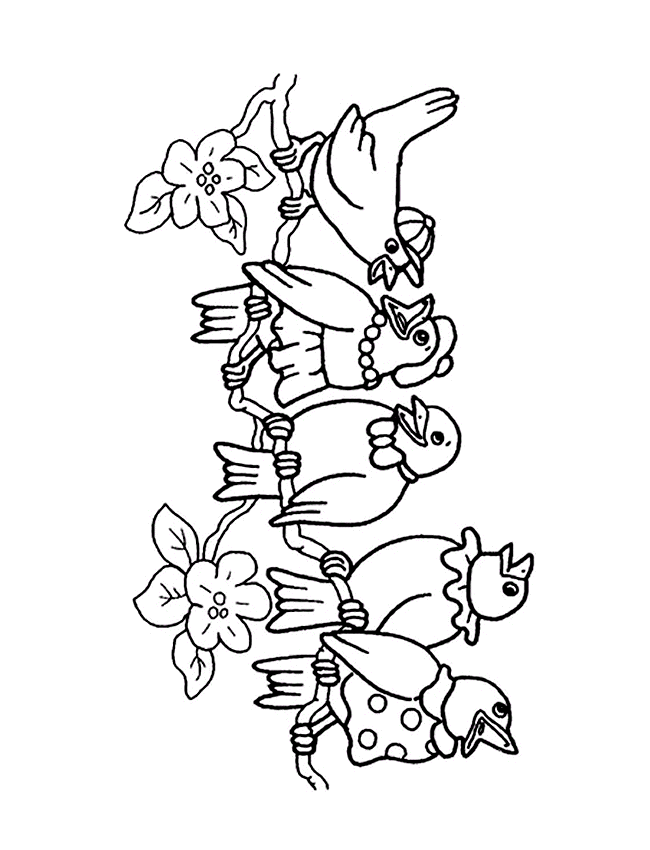 Coloriage 27 Oiseaux