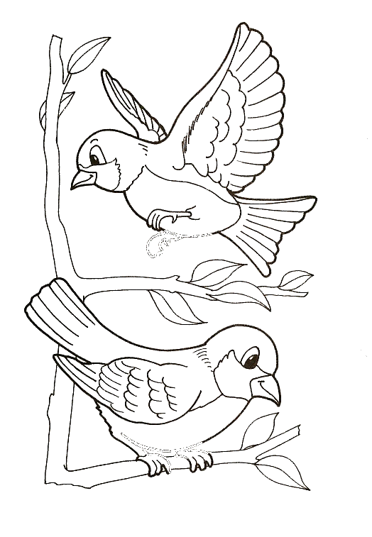 Coloriage 45 Oiseaux