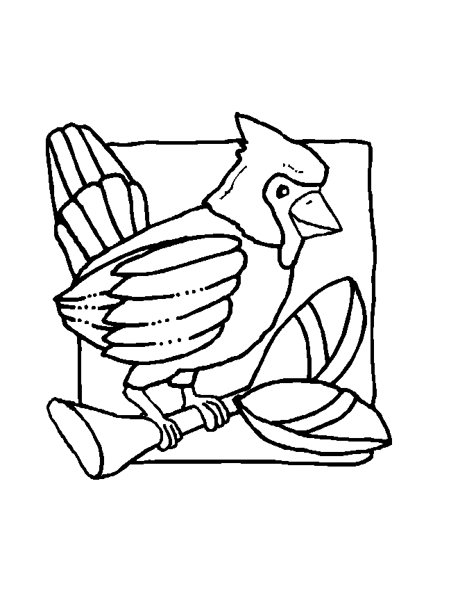 Coloriage 46 Oiseaux