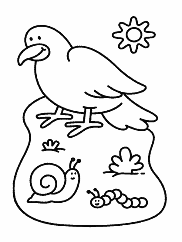 Coloriage 5 Oiseaux