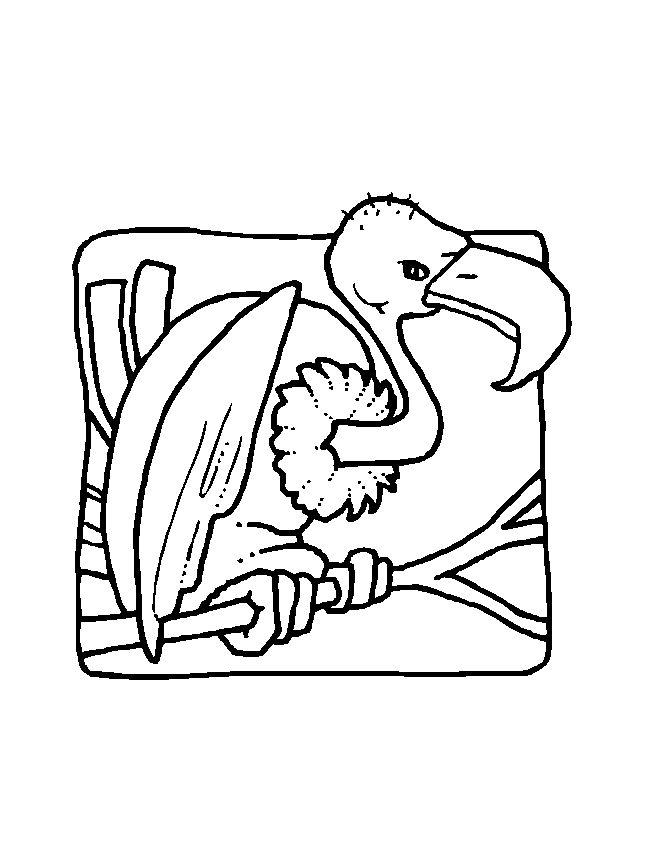 Coloriage 59 Oiseaux