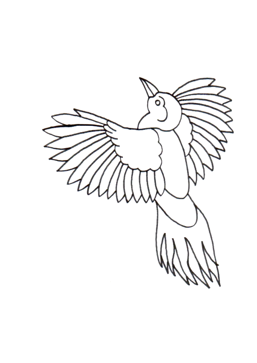 Coloriage 66 Oiseaux