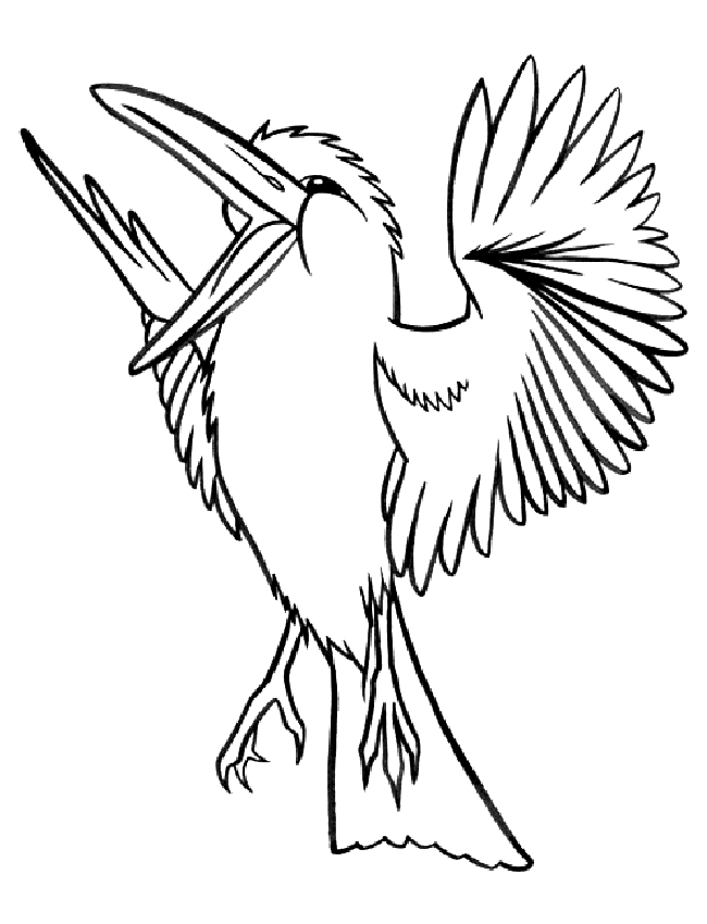 Coloriage 73 Oiseaux