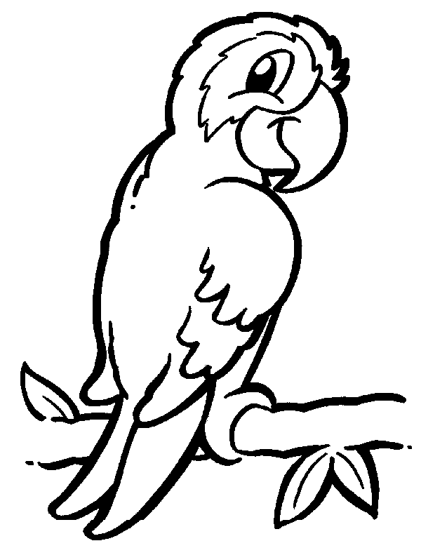 Coloriage 77 Oiseaux