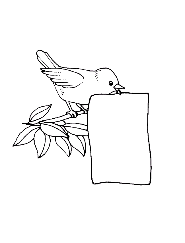 Coloriage 84 Oiseaux