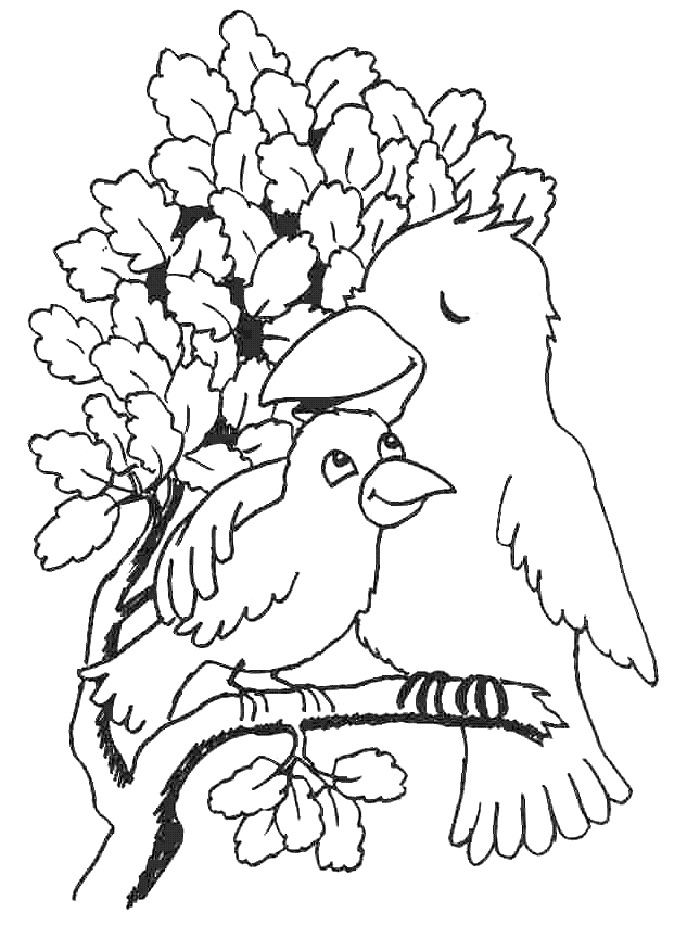 Coloriage 89 Oiseaux