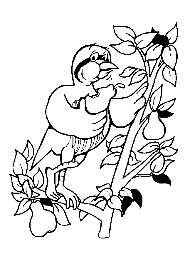 Coloriage 93 Oiseaux