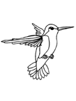 Coloriage Oiseaux 13