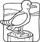 Coloriage Oiseaux 20