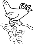 Coloriage Oiseaux 31