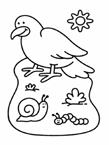 Coloriage Oiseaux 5