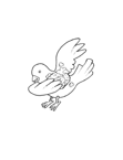 Coloriage Oiseaux 71