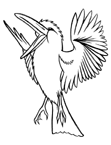 Coloriage Oiseaux 73