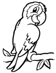 Coloriage Oiseaux 77