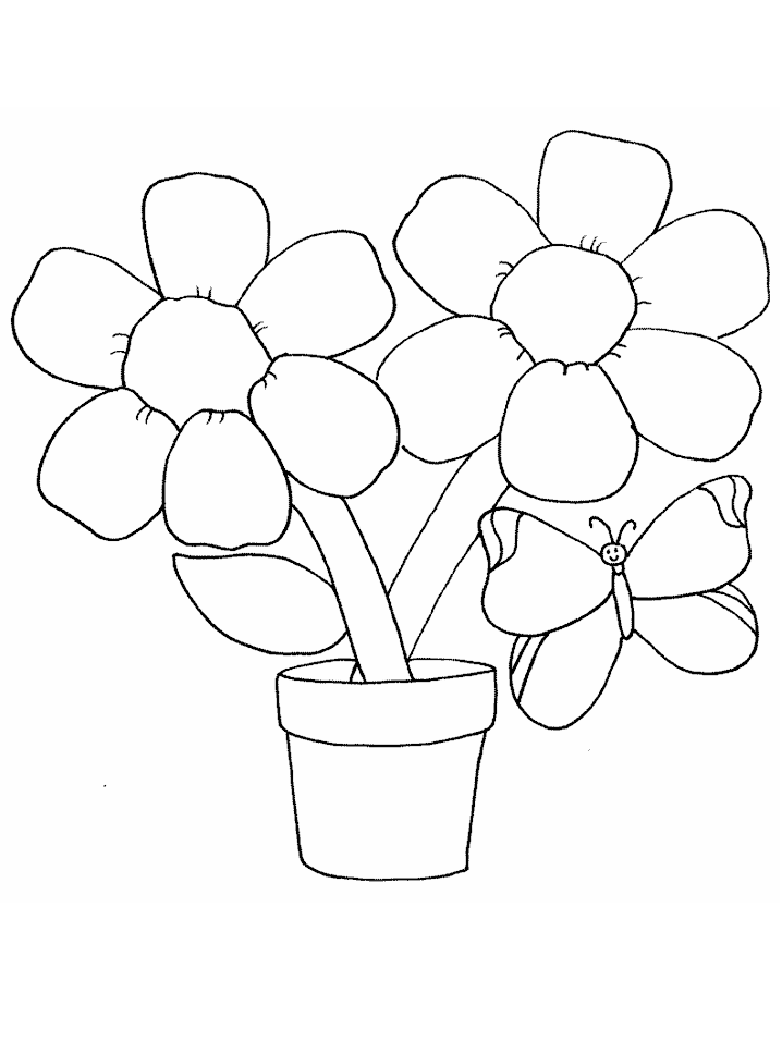 Coloriage 104 Papillons