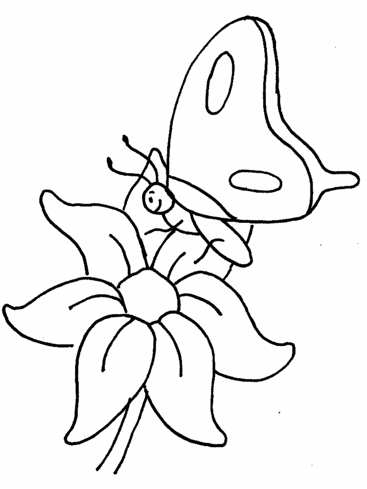 Coloriage 105 Papillons