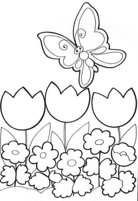 Coloriage 117 Papillons