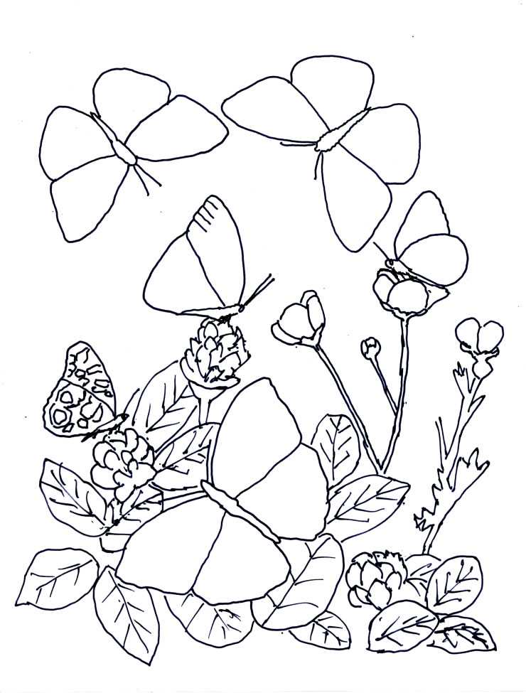 Coloriage 124 Papillons