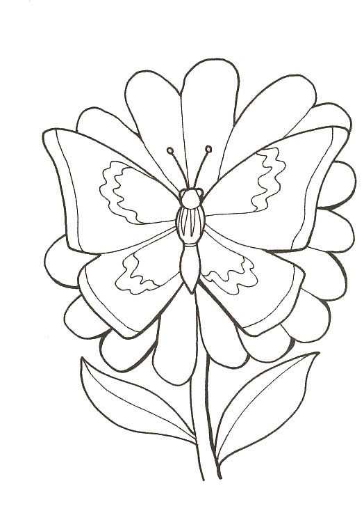 Coloriage 129 Papillons