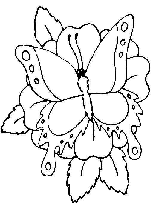 Coloriage 130 Papillons