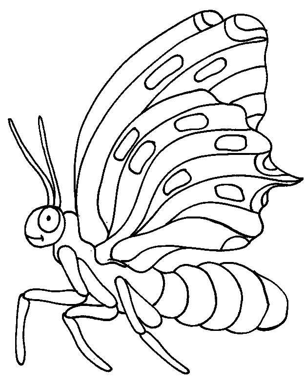 Coloriage 132 Papillons