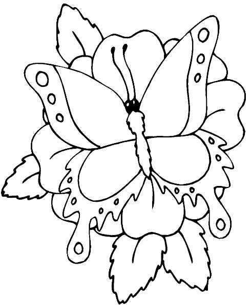 Coloriage 141 Papillons