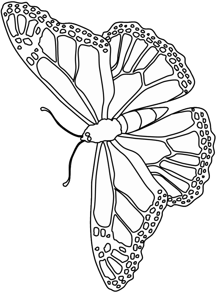 Coloriage 88 Papillons