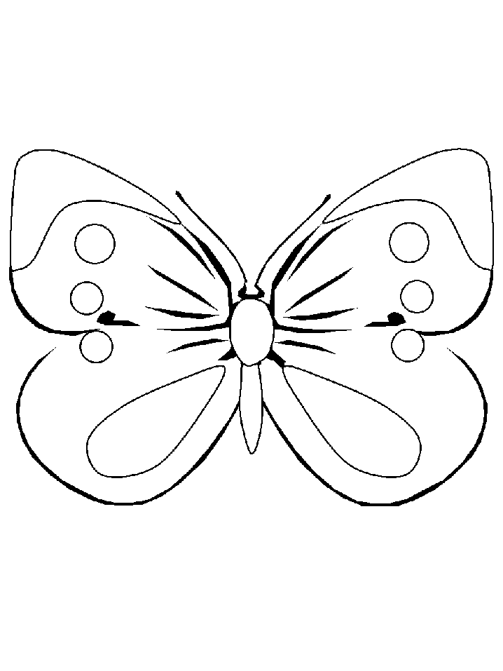 Coloriage 90 Papillons