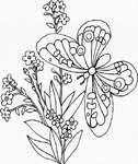 Coloriage Papillons 116