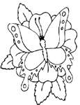 Coloriage Papillons 130