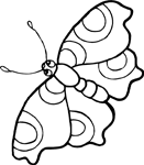 Coloriage Papillons 30