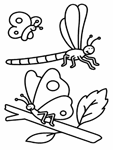 Coloriage Papillons 73