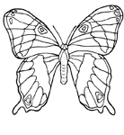 Coloriage Papillons 76