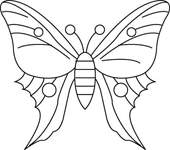 Coloriage Papillons 85