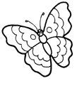 Coloriage Papillons 89