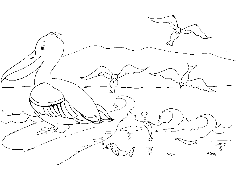 Coloriage 3 Pelican