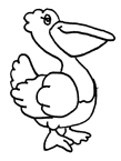 Coloriage Pelican 2