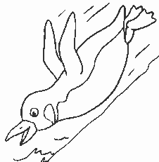 Coloriage 11 Penguins