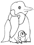 Coloriage Penguins 30