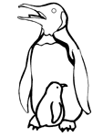 Coloriage Penguins 35
