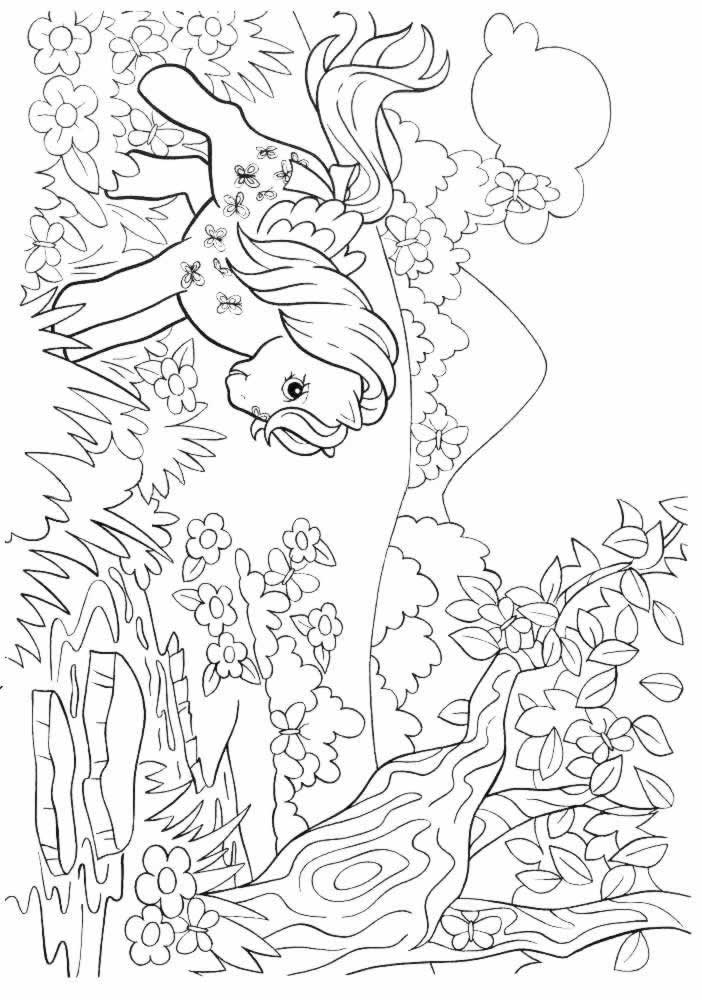 Coloriage 13 Petit poney