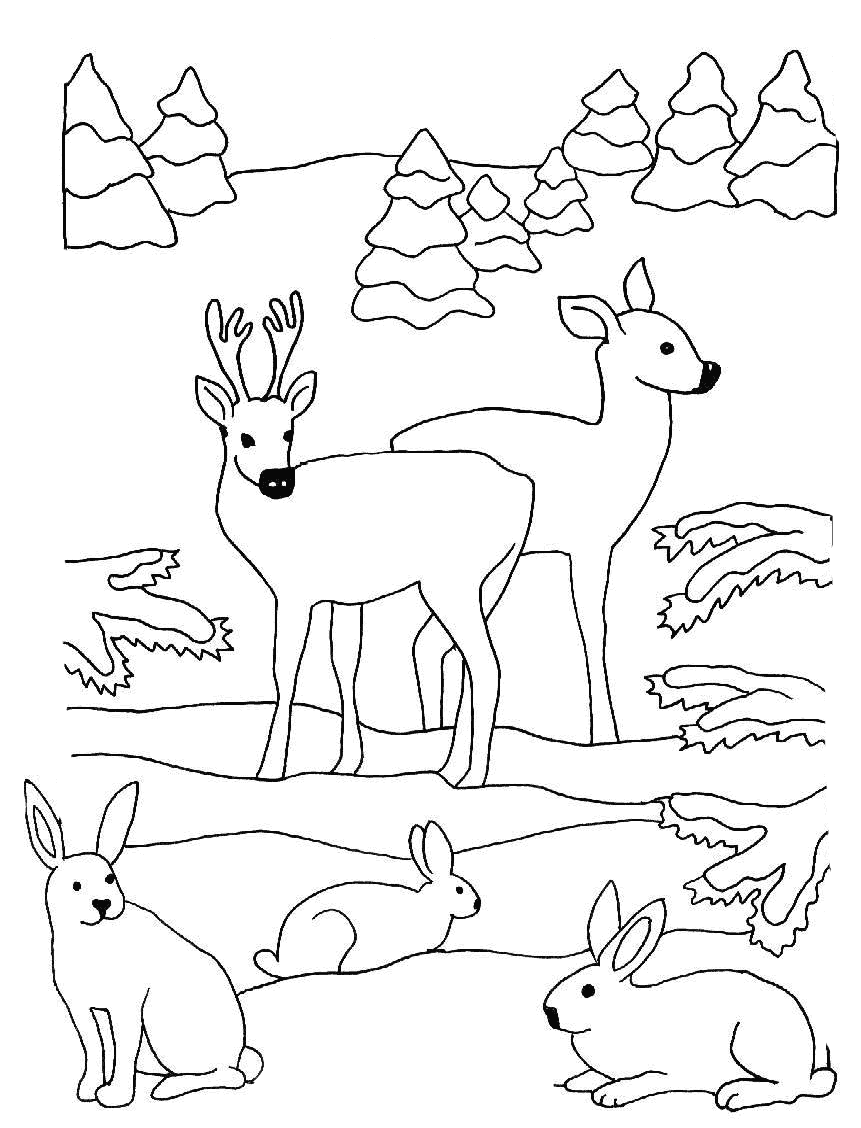 Coloriage 14 Photos d-hiver