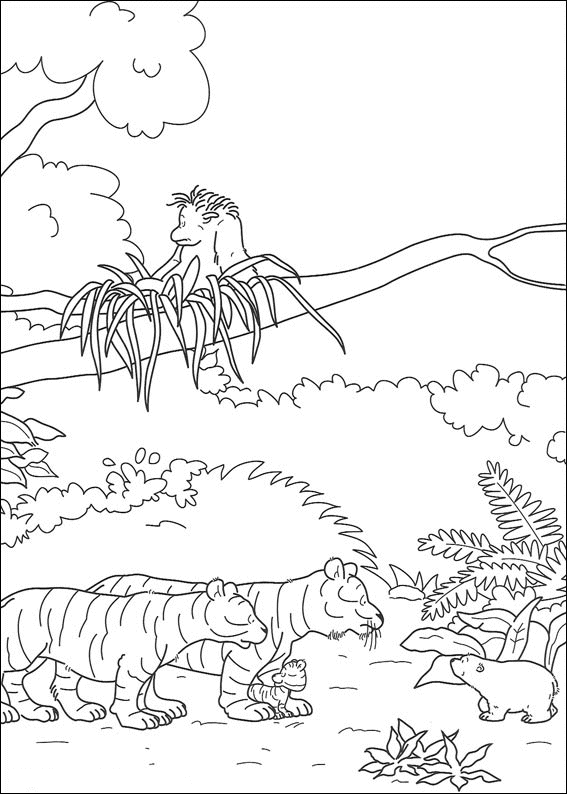 Coloriage 29 Plumes ours polaire