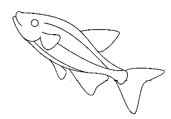 Coloriage 10 Poissons