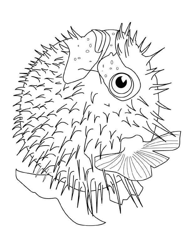 Coloriage 110 Poissons