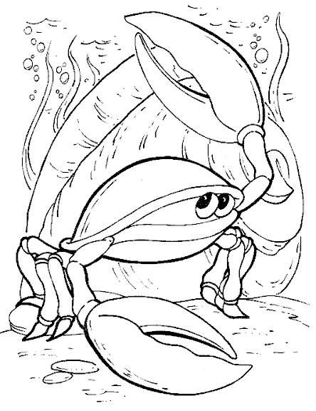 Coloriage 125 Poissons