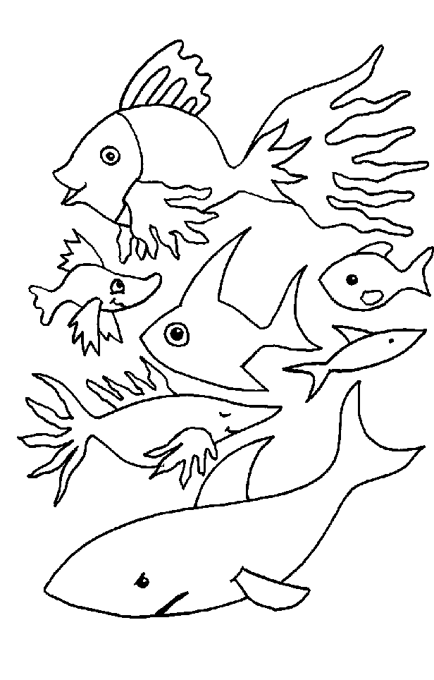 Coloriage 2 Poissons