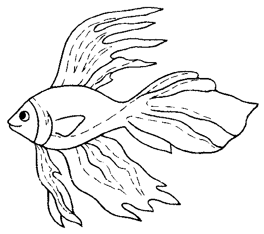 Coloriage 31 Poissons
